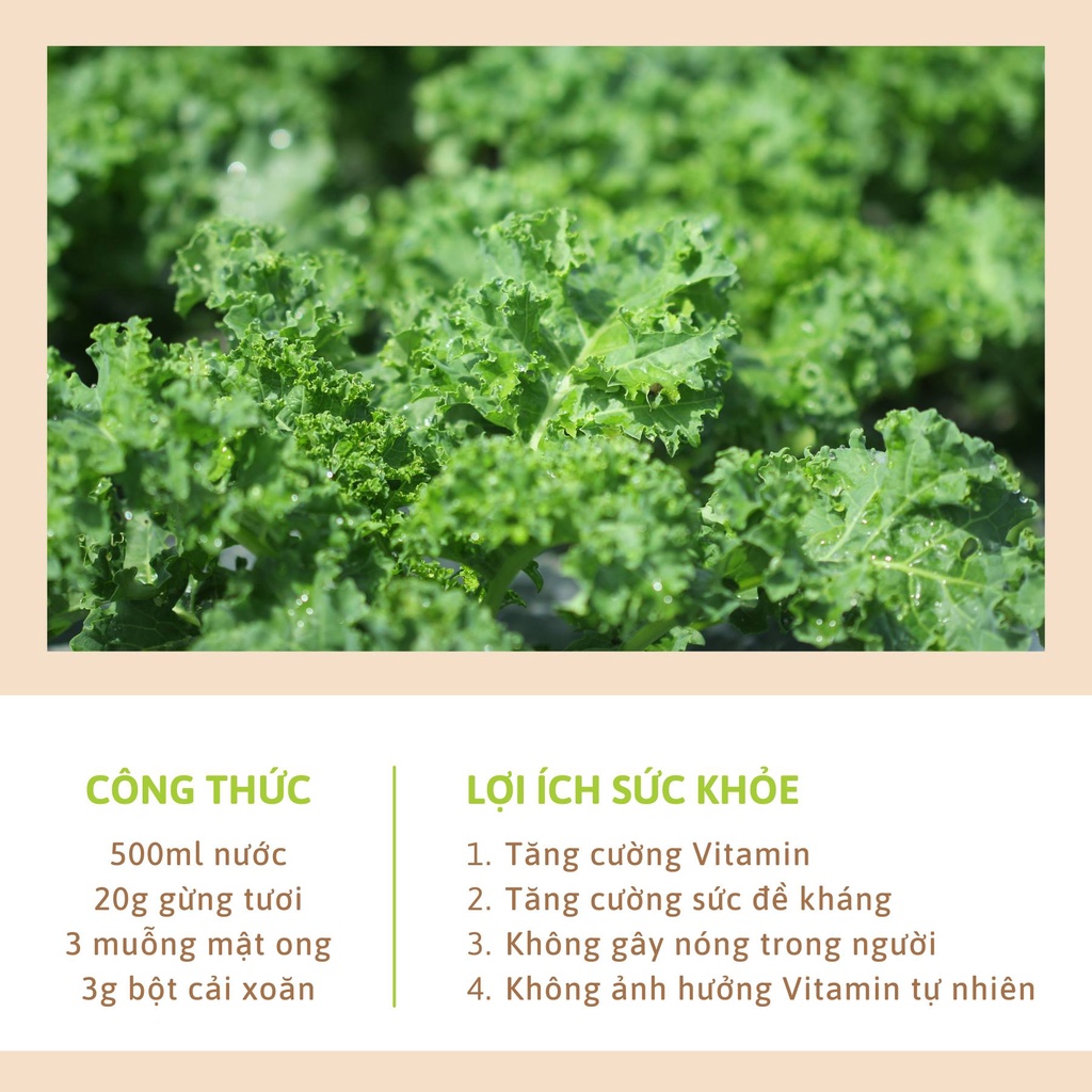Bột cải xoăn kale Dalahouse 60gr - Nguyên chất sấy lạnh - Detox thanh lọc cơ thể - Đạt tiêu chuẩn Châu Âu