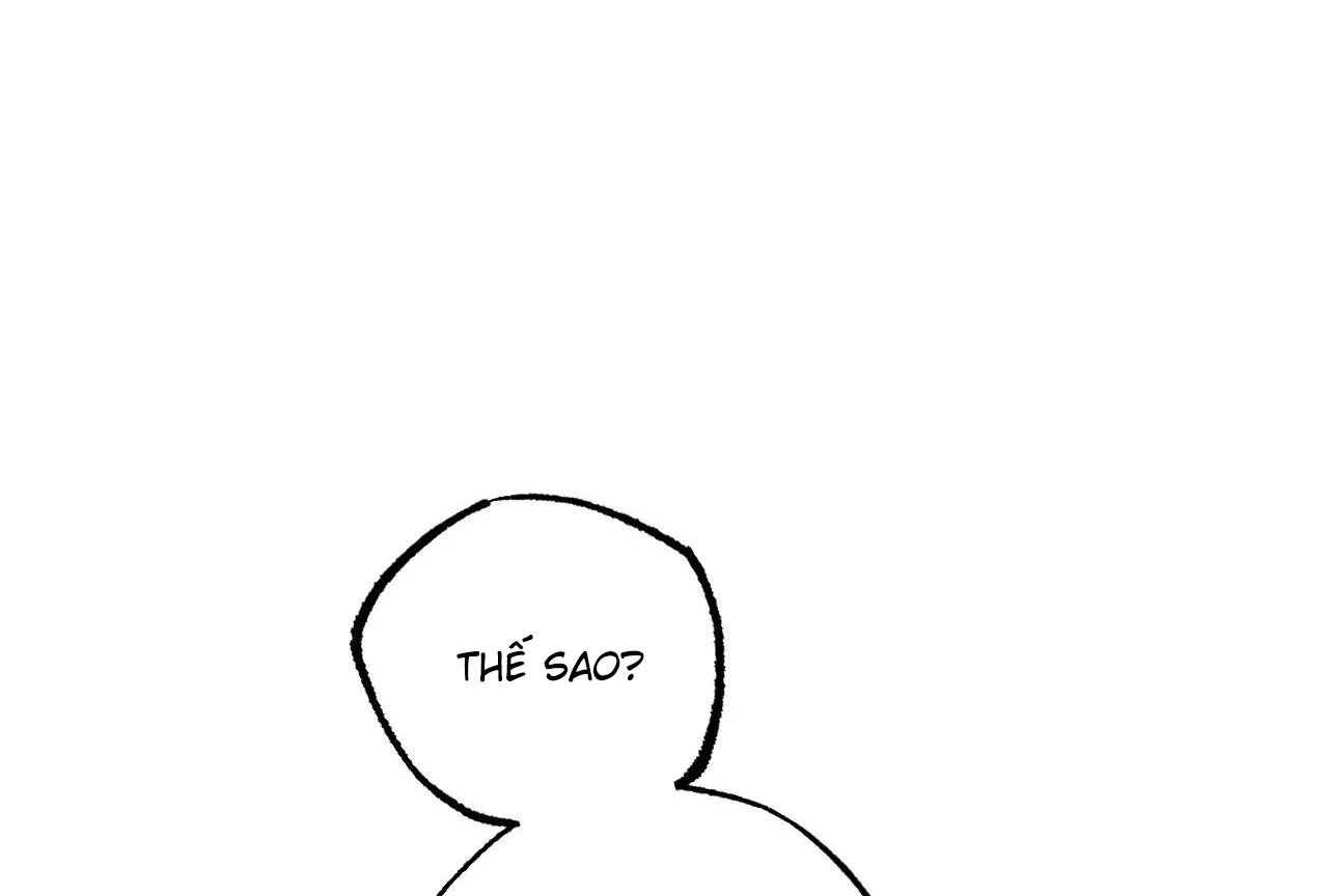 những chú thỏ của hapypy chapter 65 46