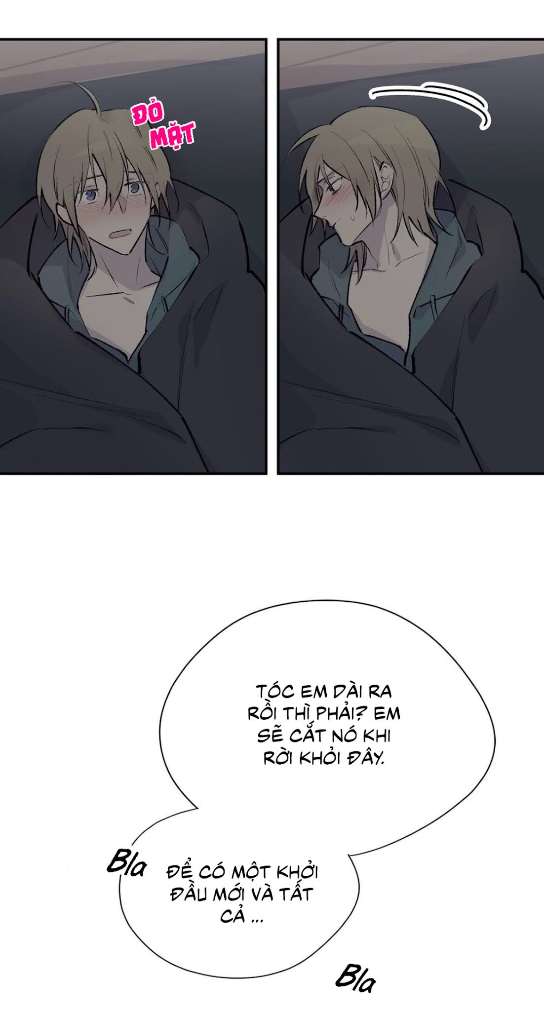 đừng viết nữa, tác giả thân mến! chapter 51 60