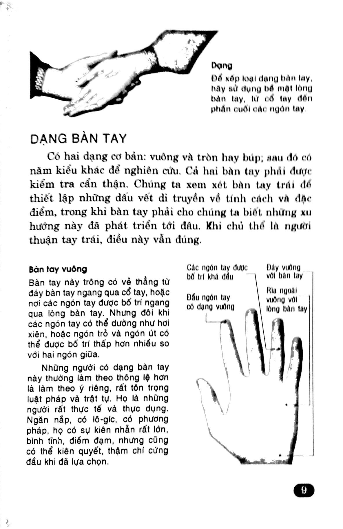 Giải Mã Bí Ẩn Bàn Tay