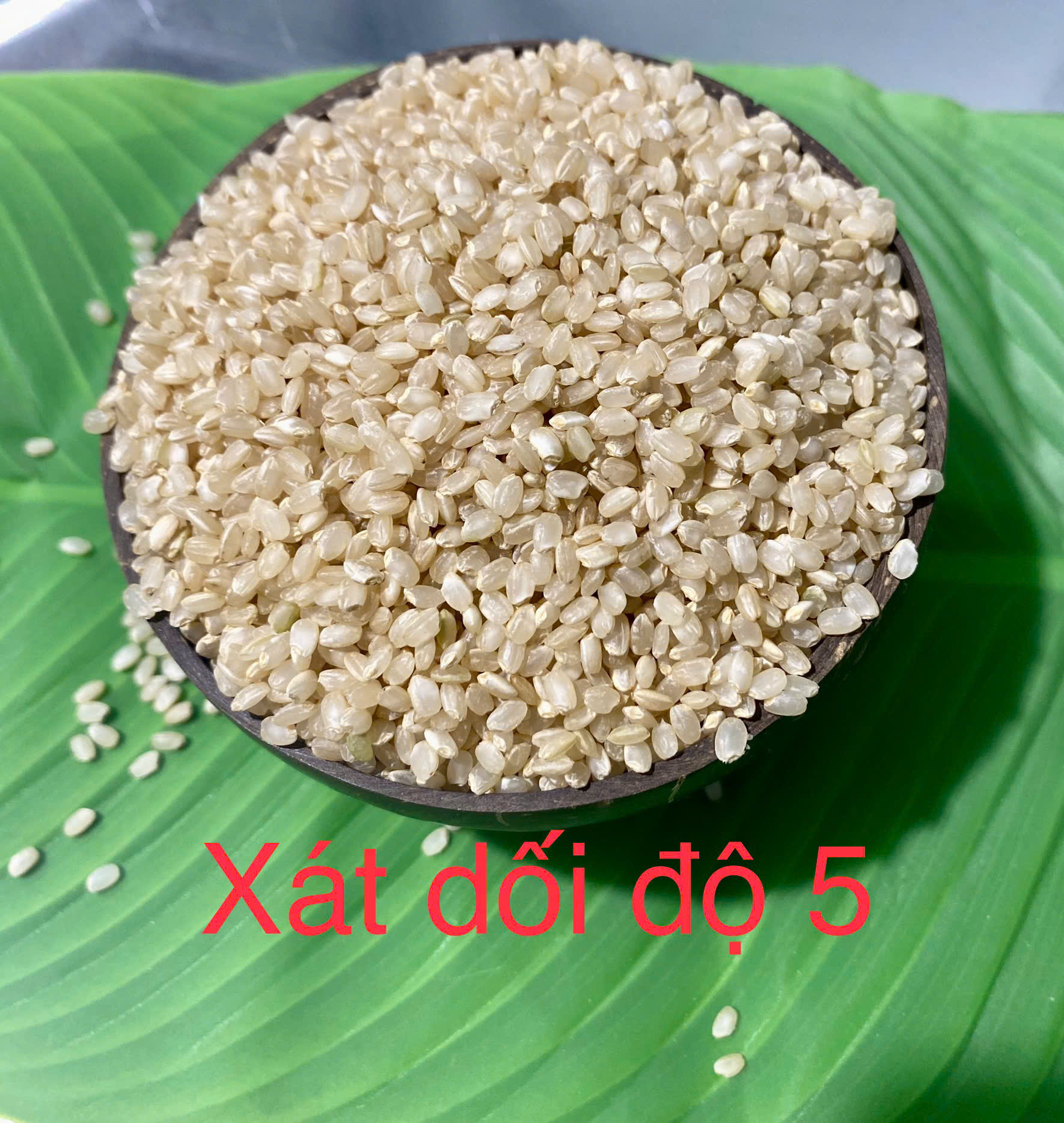 GẠO GIỐNG NHẬT MANPUKU MARU - GẠO TRẮNG - GẠO XÁT DỐI- 2KG