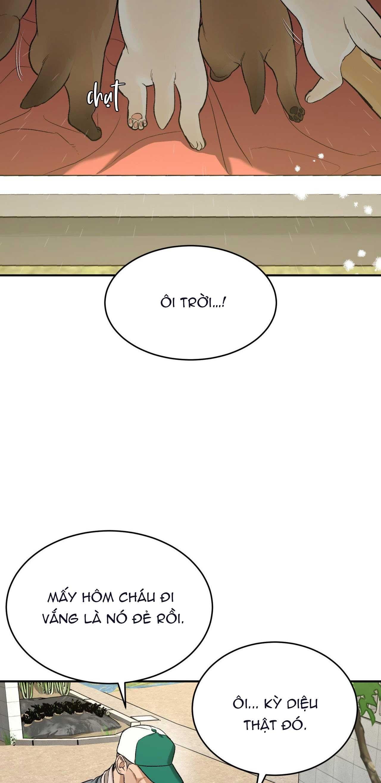 điềm rủi Chapter 57 (4) 59