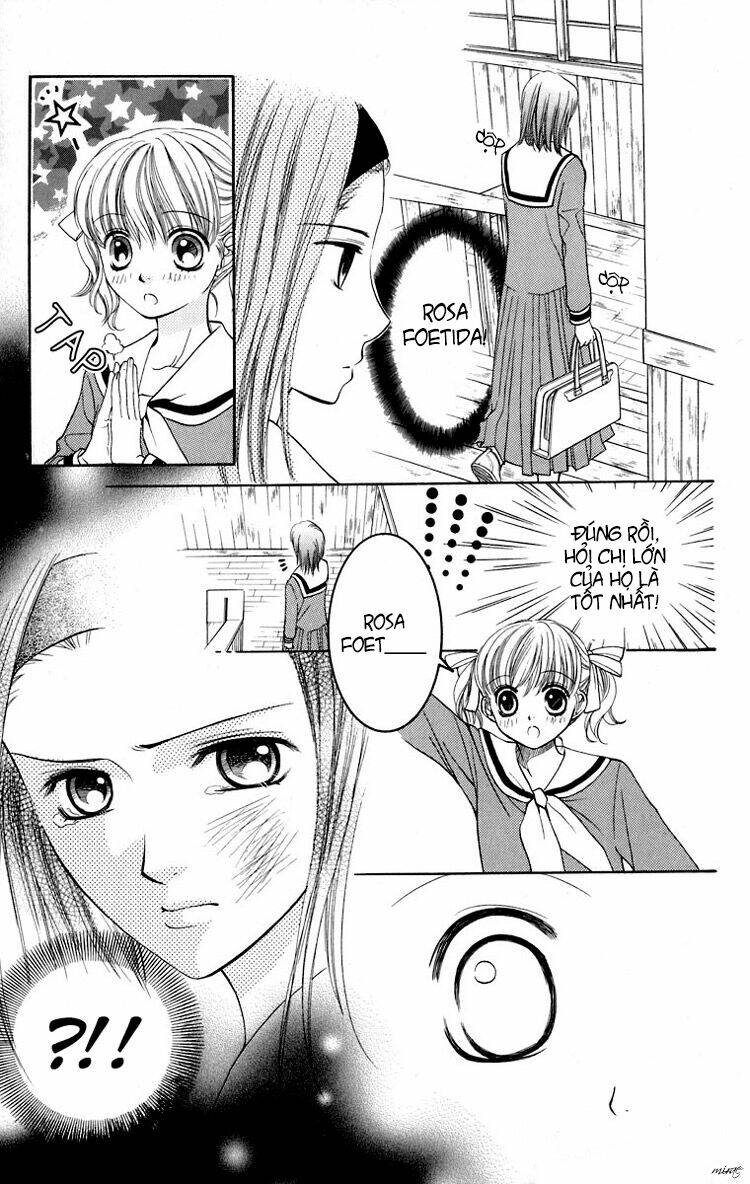 maria-sama ga miteru chapter 10 15