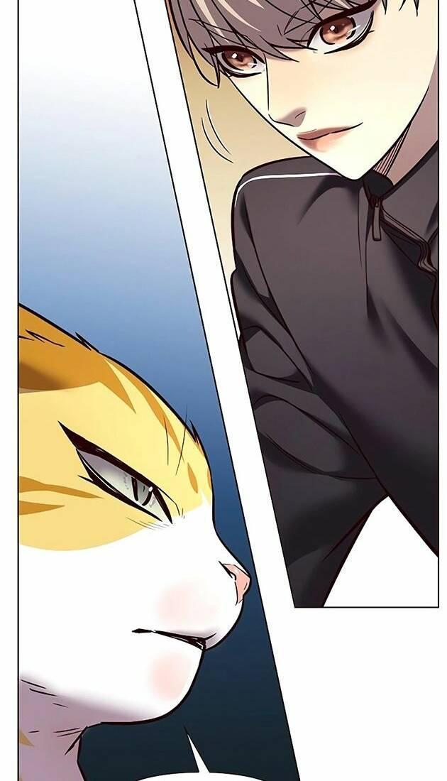 biến thân thành mèo chapter 242 46