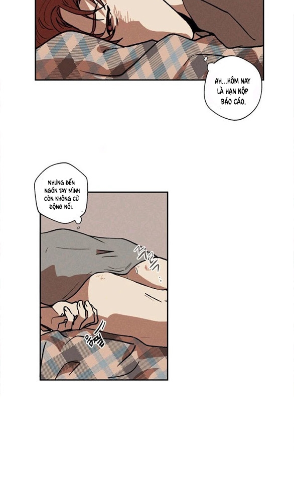 bẫy kép chapter 1 15