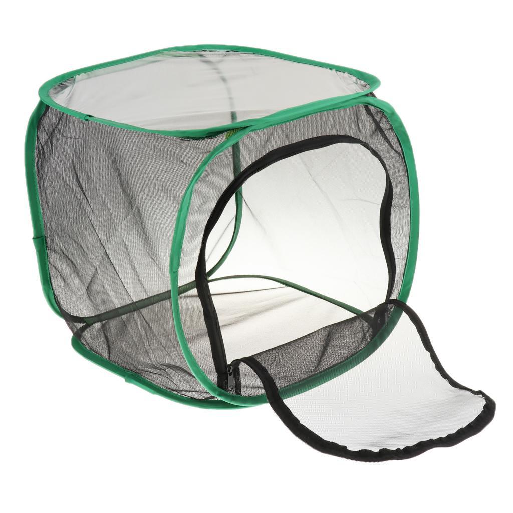 Collapsible Insect and Butterfly Habitat Net Terrarium Breeding Cage 30x30x30cm