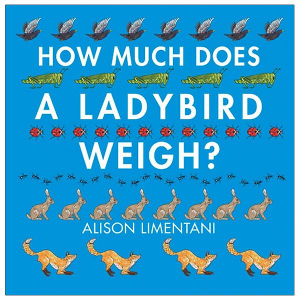 How Much Does A Ladybird Weigh?