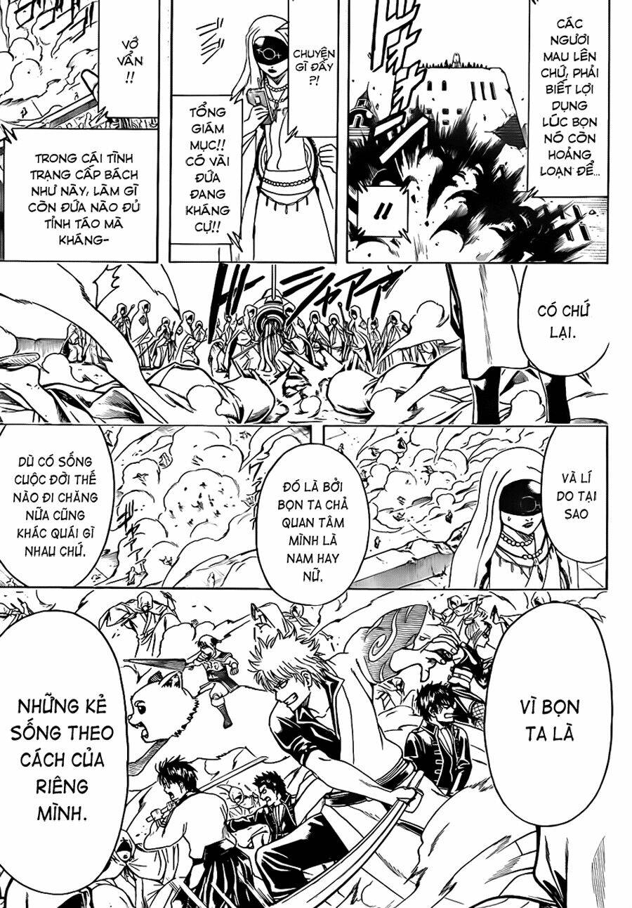 gintama - linh hồn bạc chapter 441 17