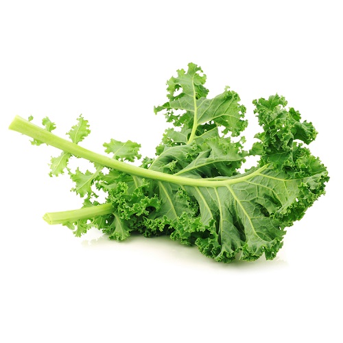 - Cải xoăn (Kale) hữu cơ - 500g