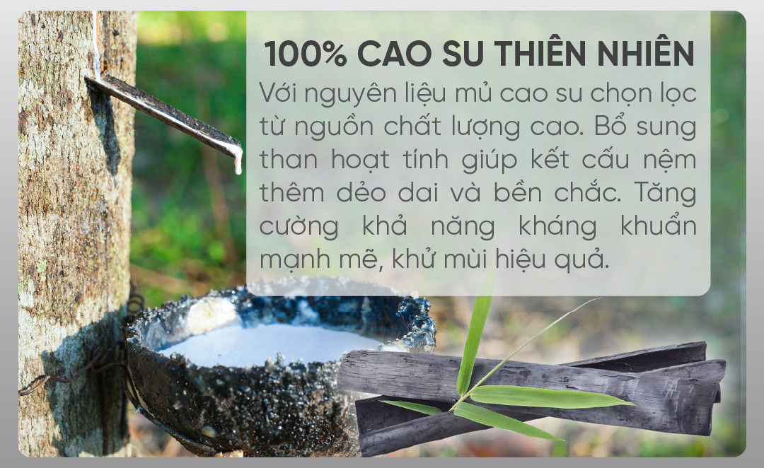 Nệm cao su thiên nhiên than hoạt tính Tatana Cool Grey,Kháng Khuẩn Khử Mùi, Êm Ái Nâng Đỡ Cột Sống