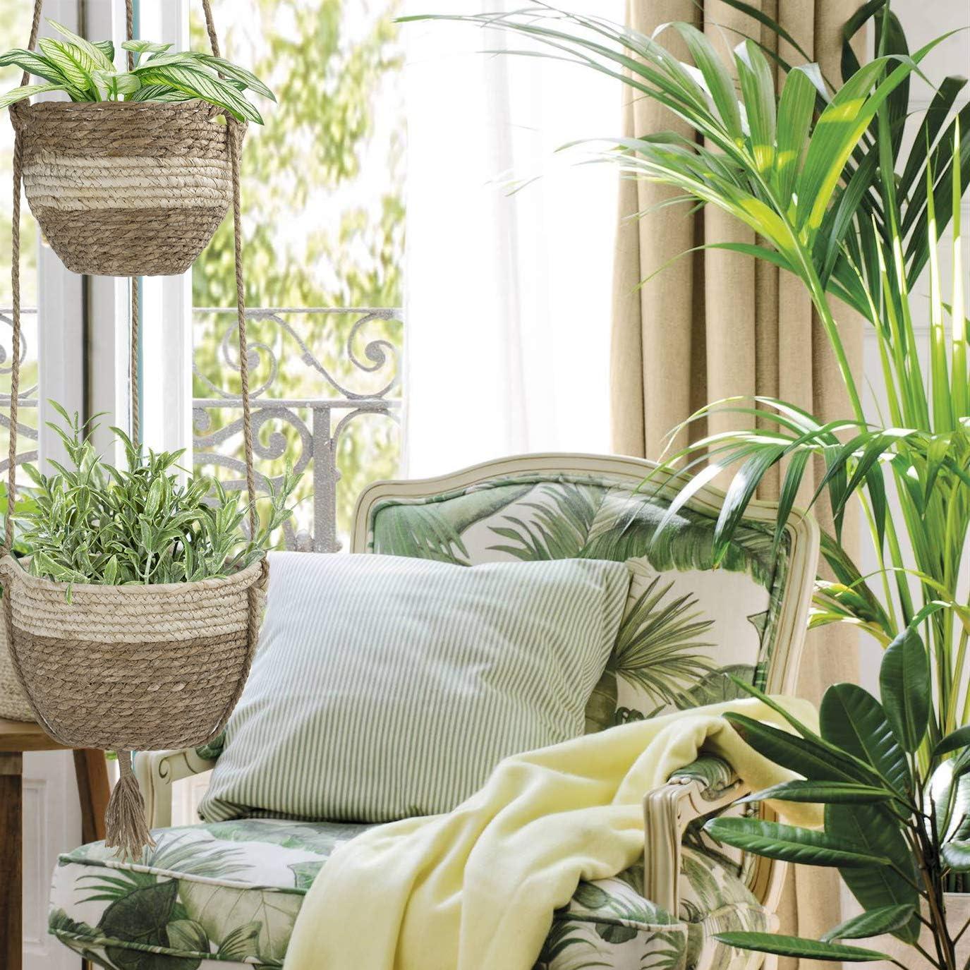 Chậu treo ngoài trời trong nhà, chậu hoa cỏ biển tự nhiên, màu be