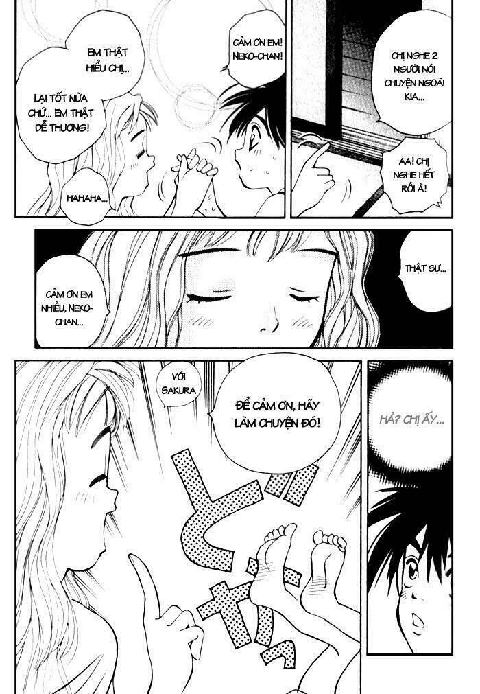 parallel chapter 8 19