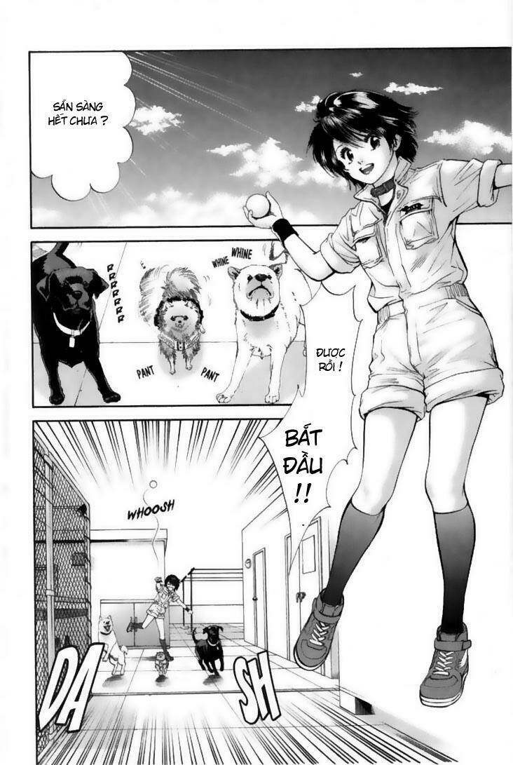 cô nàng yêu chó chapter 22 12