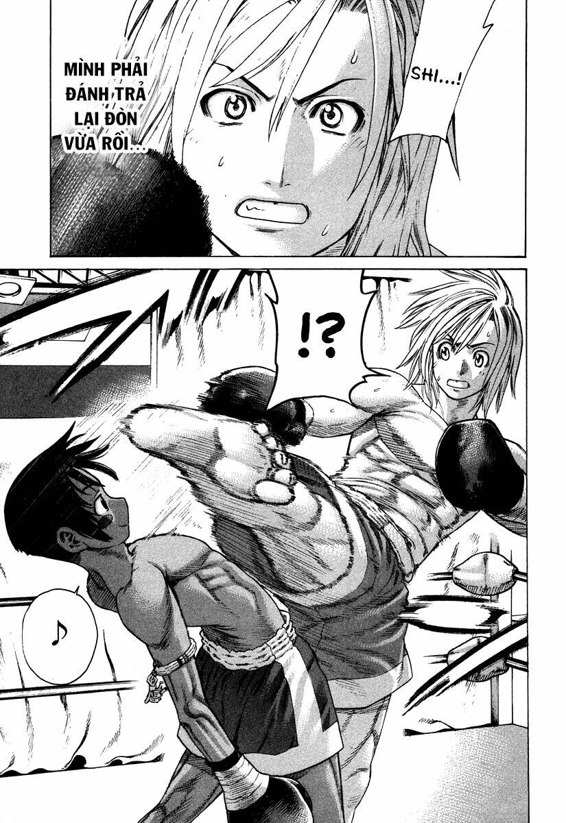 stop!! hibari-kun! chapter 12 17