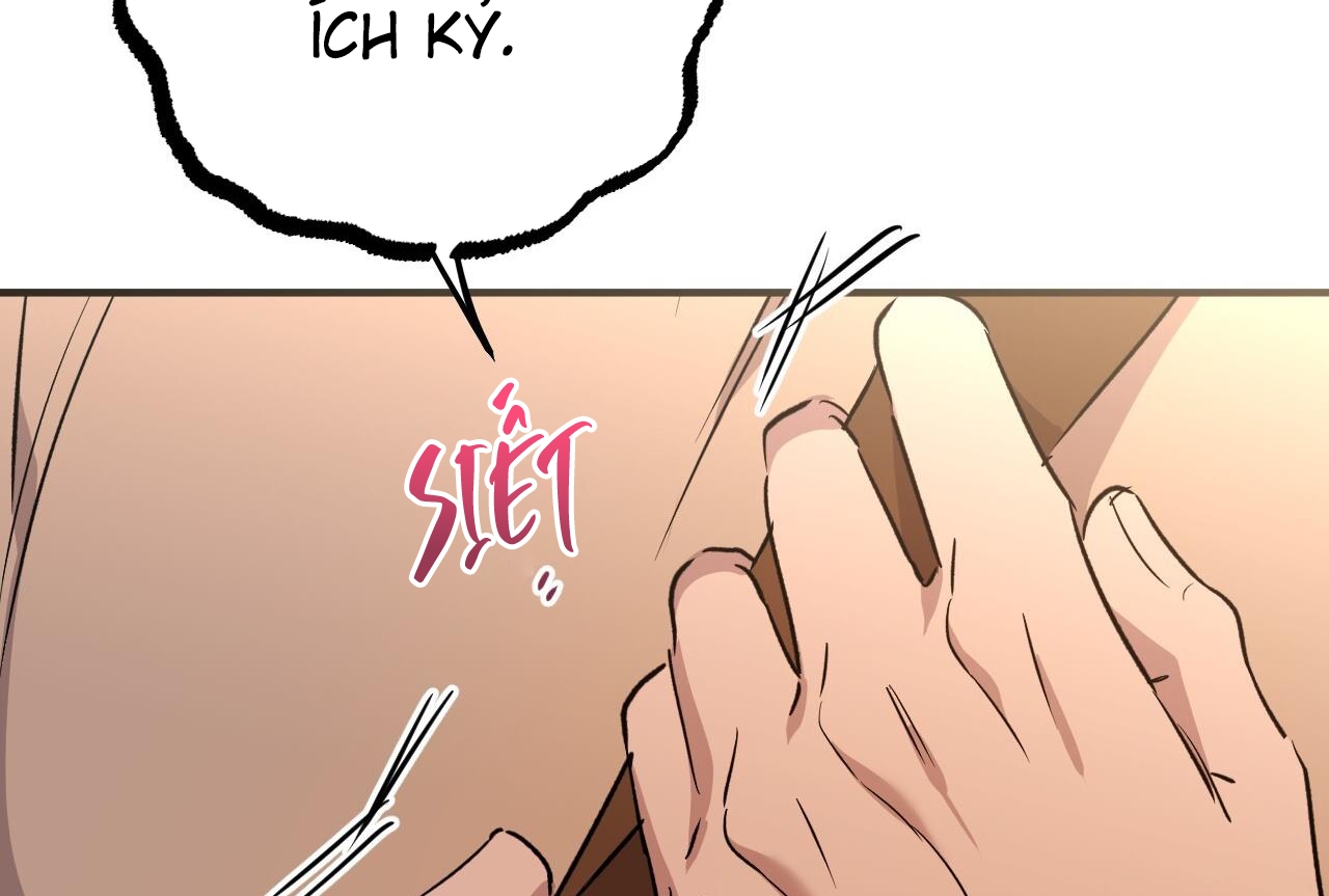 những chú thỏ của hapypy chapter 57 176