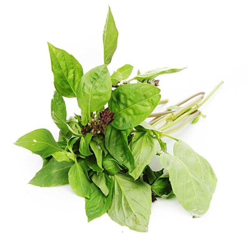 [CHỈ GIAO HCM] Húng quế - 100gr