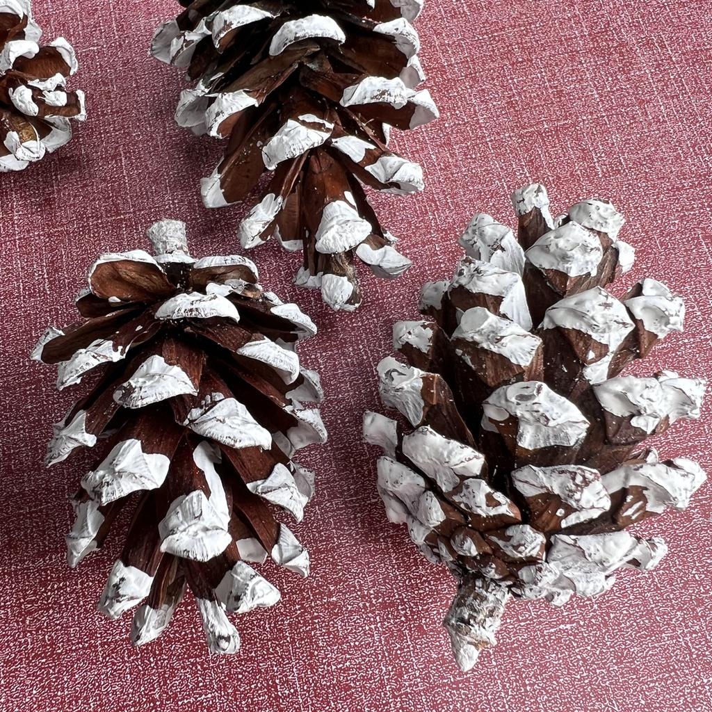 Sỉ 1kg 70 quả thông phủ tuyết decor trang trí Noel làm vòng nguyệt quế Giáng sinh