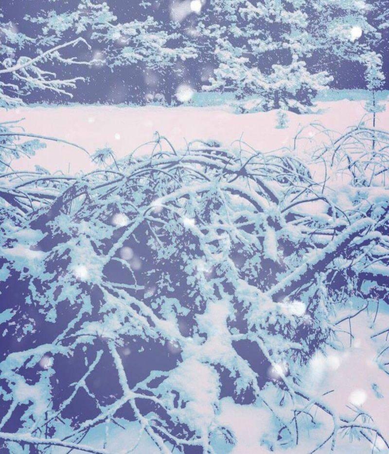 tử thần chapter 46 7