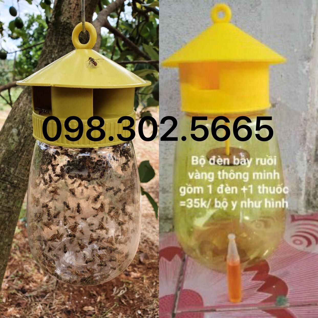 Combo 05 Bộ sản phẩm bẫy ruồi vàng và chất dẫn dụ diệt ruồi đục trái - loại 1 mới nhất
