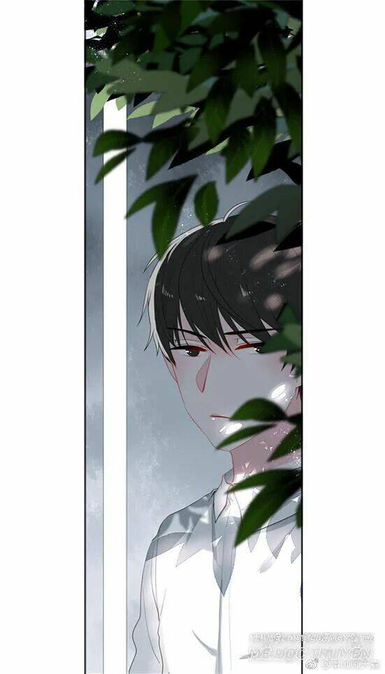 quy tắc của mỹ nam chapter 41 1