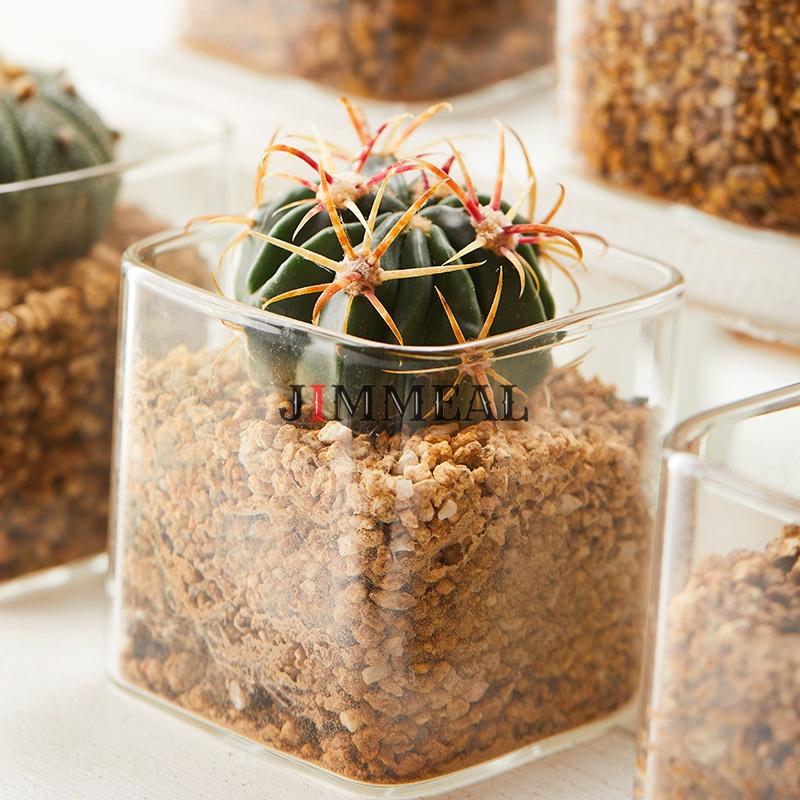 Chậu Thủy Tinh Trồng Cây, Lọ Thủy Tinh Vuông Trồng Cây Jimmeal Trong Suốt, Cắm Hoa Để Bàn, Decor Nội Thất Đa Năng