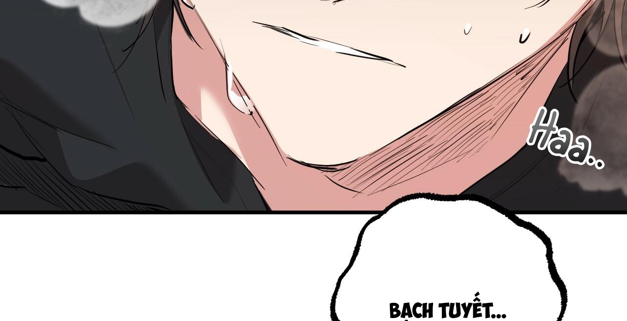 đàn thỏ của habibi chapter 36 146