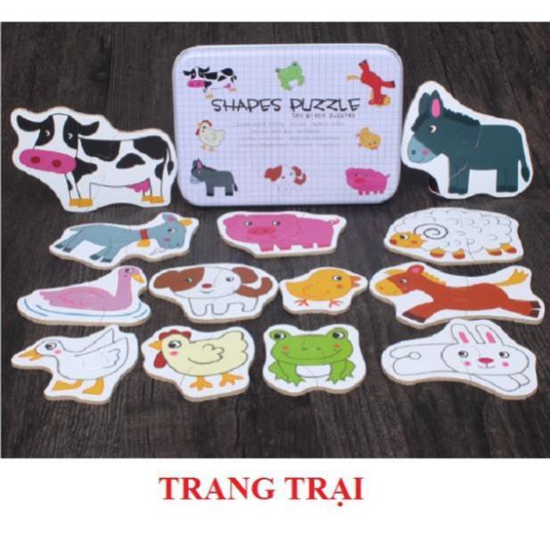 Đồ chơi bộ ghép hình hộp sắt 2 mảnh Shapes Puzzle thông minh cho bé