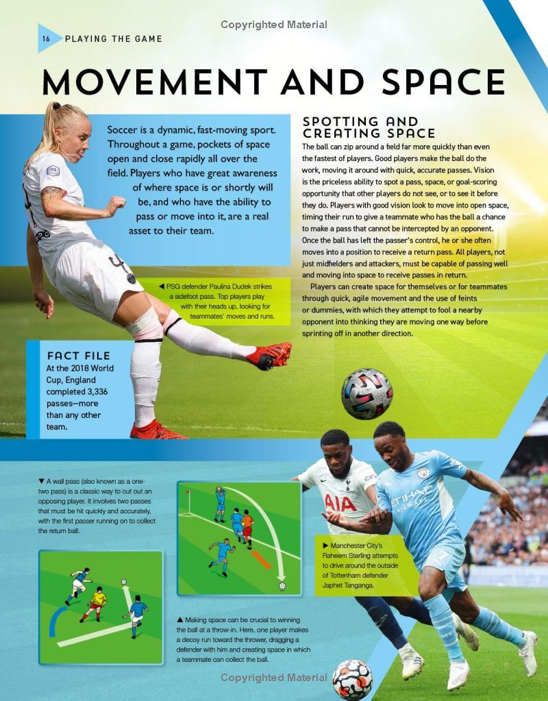 The Kingfisher Soccer Encyclopedia