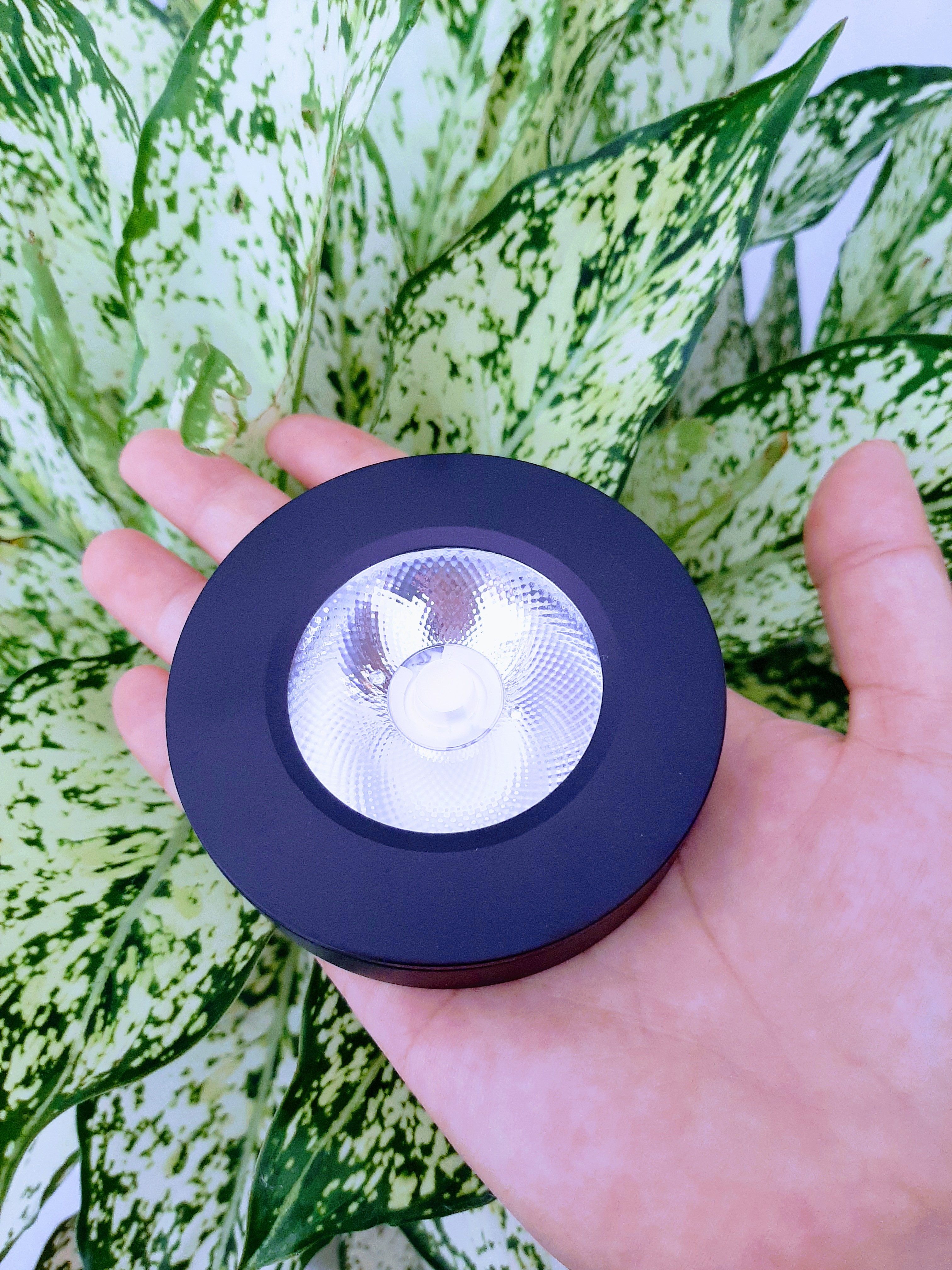 Đèn Led Ốp Nổi Trang Trí Tủ Rượu, Kệ Trưng Bày, Tủ Quần Áo, Tủ Bếp Công Suất 5W Vỏ Đen Nhám