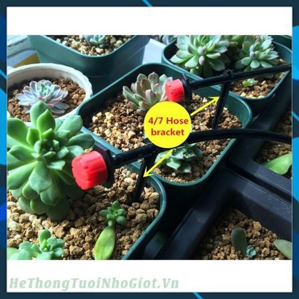 100 đầu nhỏ giọt 8 tia tưới gốc cây 206852