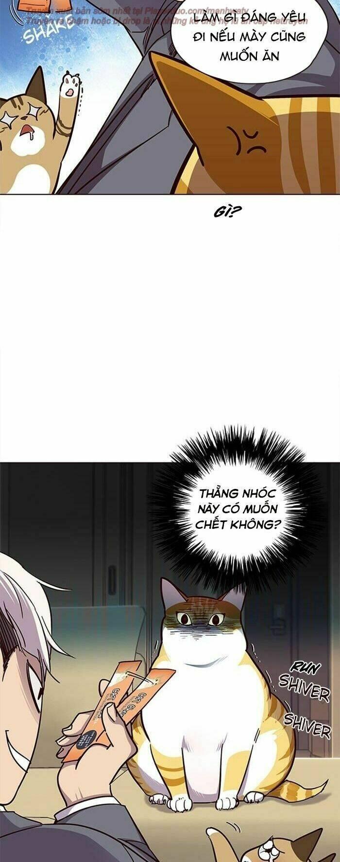 biến thân thành mèo chapter 38 37