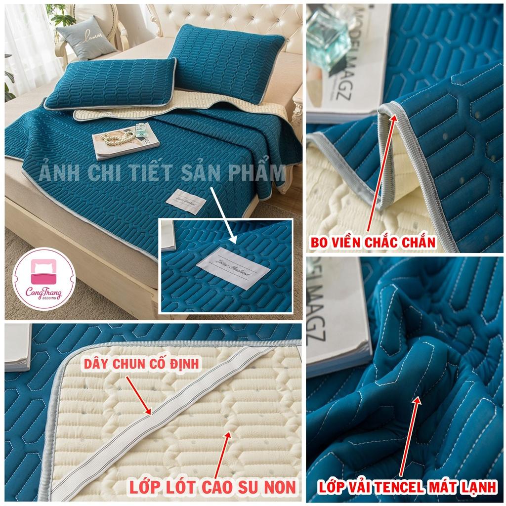 Chiếu điều hòa cao su non, Chiếu tencel latex thái lan nhập khẩu cao cấp ( HOẠ TIẾT TRẦN ) ( m2/m6/m8/2m2)