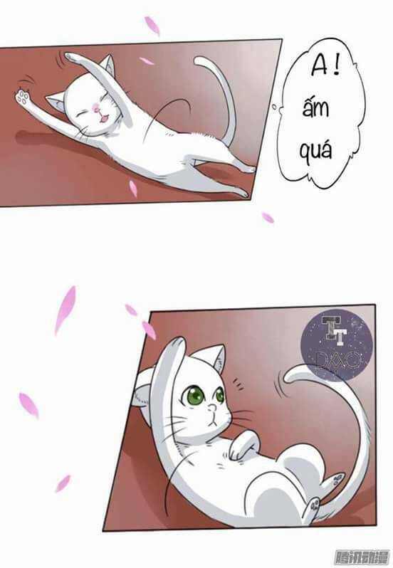 hoàng thái tử, xin nhận nuôi em! chapter 3 2