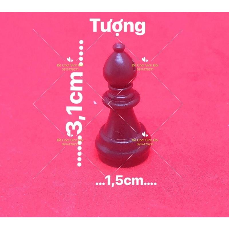 Phụ kiện của bàn cờ vua nhỏ - con cờ có nam châm