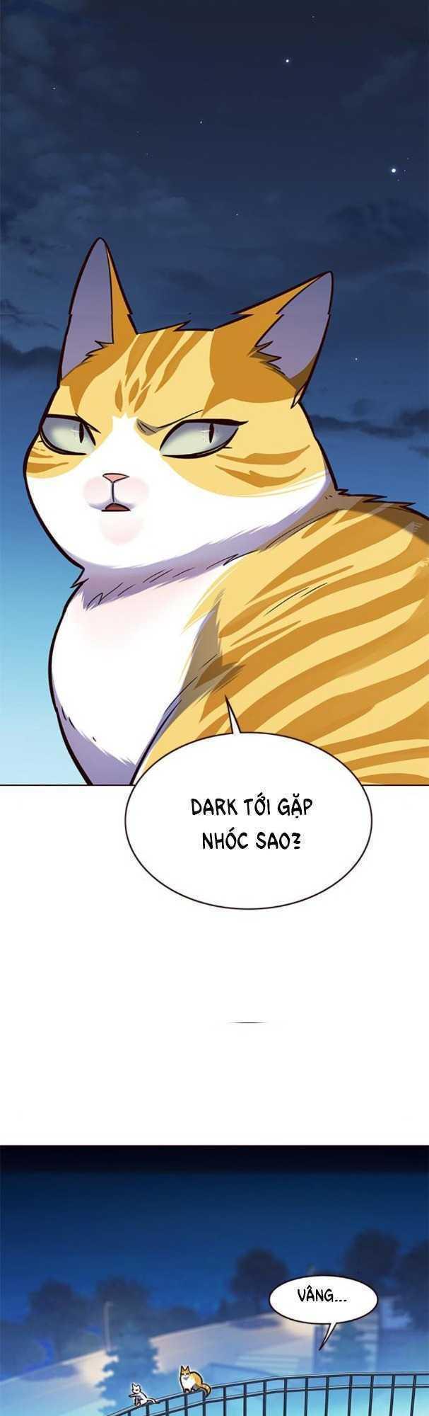 biến thân thành mèo chapter 169 33