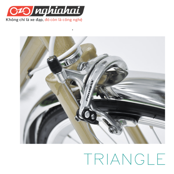 Xe đạp thể thao Nhật Bản – TRIANGLE SF