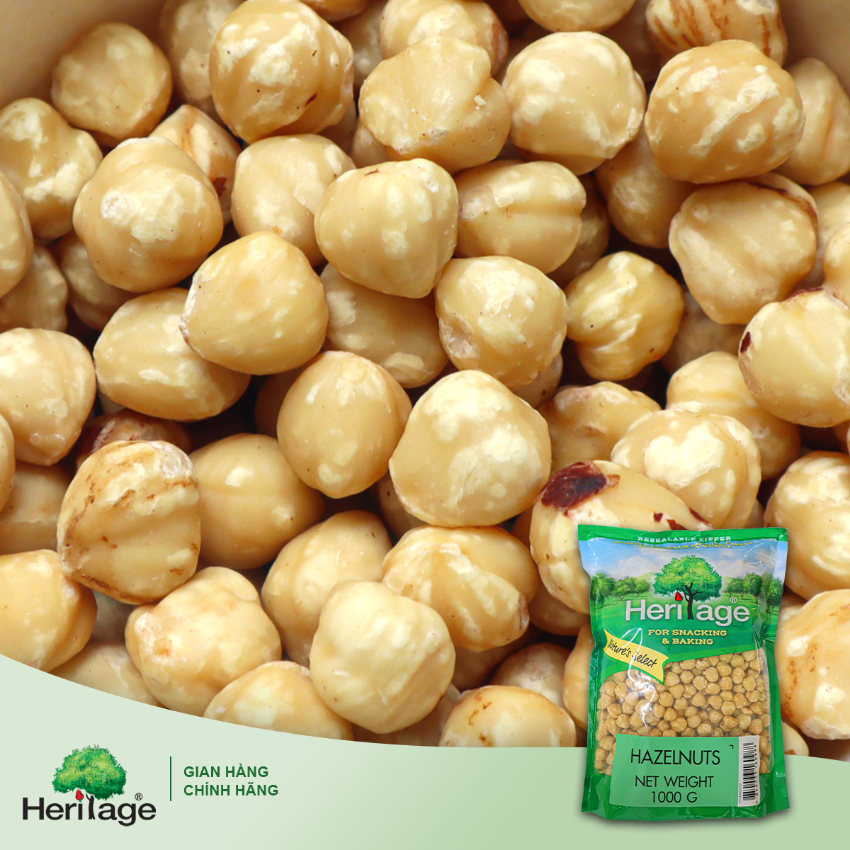 HẠT PHỈ - HAZELNUTS HERITAGE