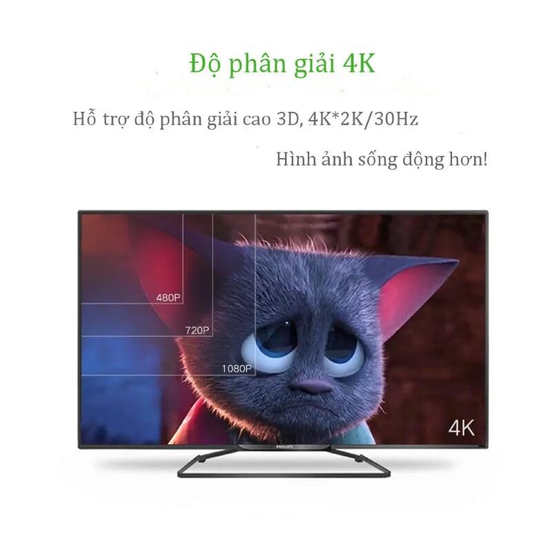 Ugreen UG30355MM115TK 30CM màu Đen Bộ chuyển Micro HDMI sang HDMI + VGA kèm cổng âm thanh - HÀNG CHÍNH HÃNG