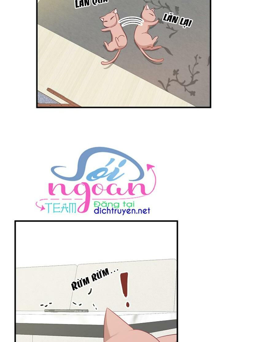 cuộc sống kỳ thú chapter 17 14