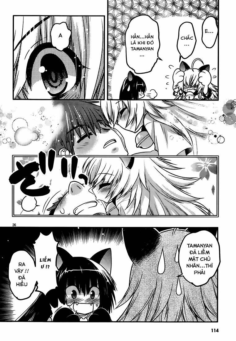 tamanyan chapter 5 27