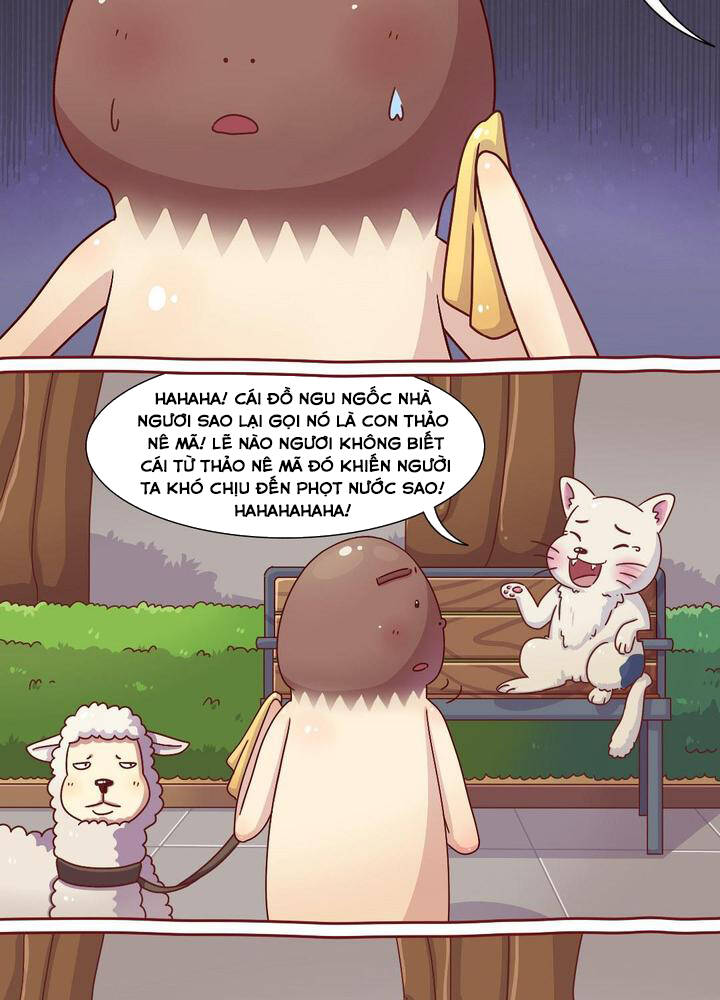 cây nấm kì khả chapter 20 5