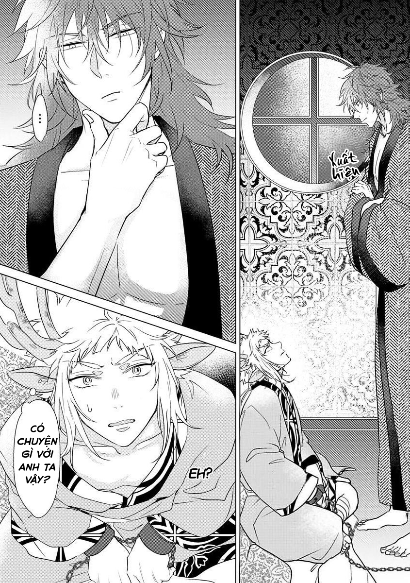 gặp gỡ em, thú nhân màu chàm trắng chapter 1 26