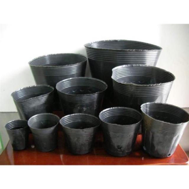 0,5kg túi bầu ươm cây nhựa dẻo size 26x21