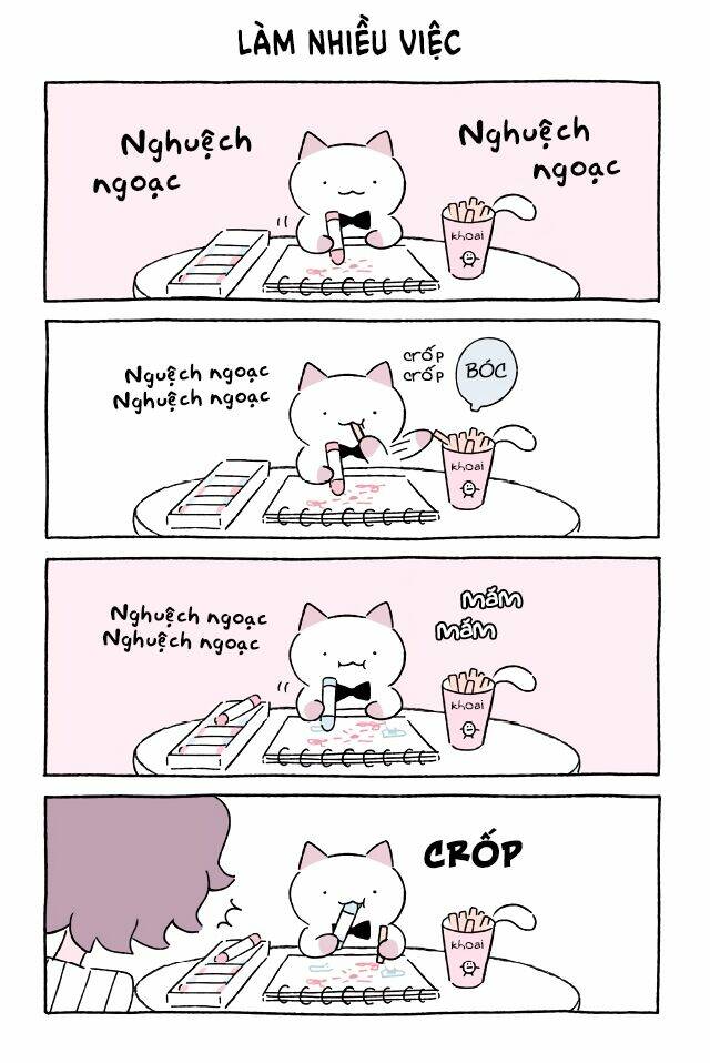 chú mèo kỳ diệu kyuu-chan chapter 561 2