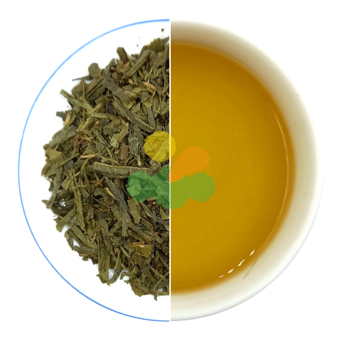 Hộp Trà túi lọc Satoen Sencha Special thu hoạch vụ hè thu 40g