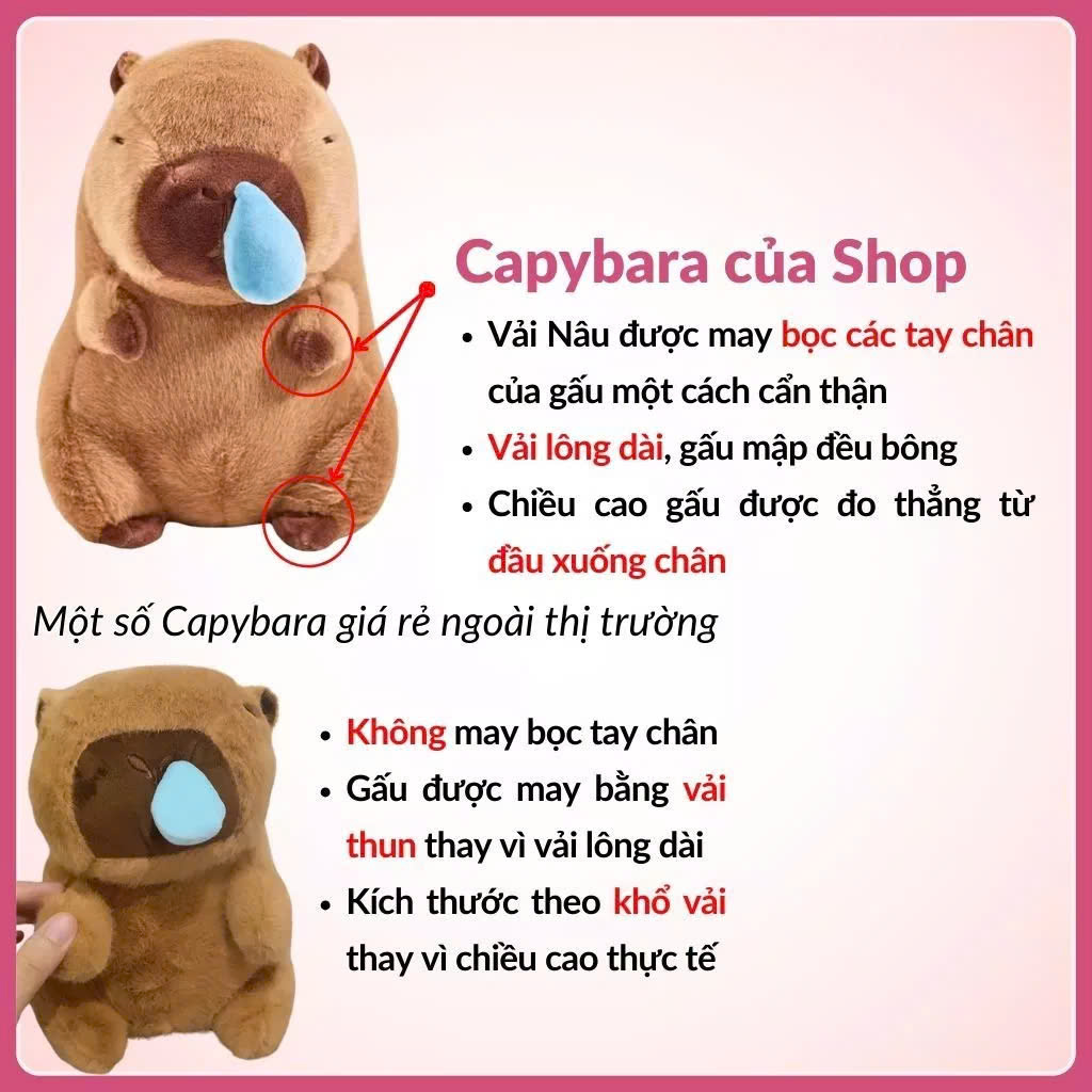 Đồ Chơi Gấu Bông Capybara Rút Mũi Chuột Lang Mang Balo Rùa Capybara Chảy Mũi Hot Trend Thú Nhồi Bông