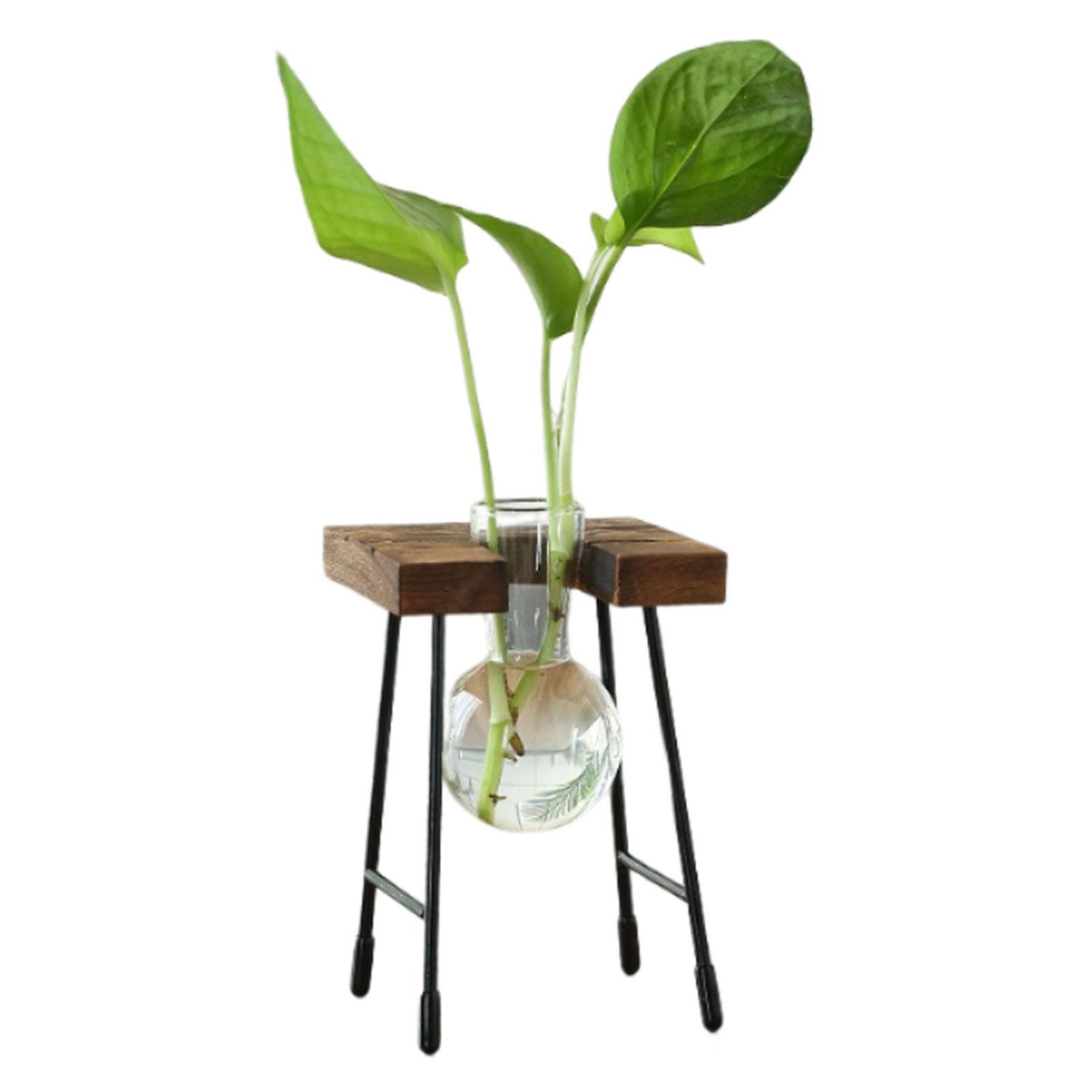 Flower Vase Glass Flower Vase Modern for Home Living Room