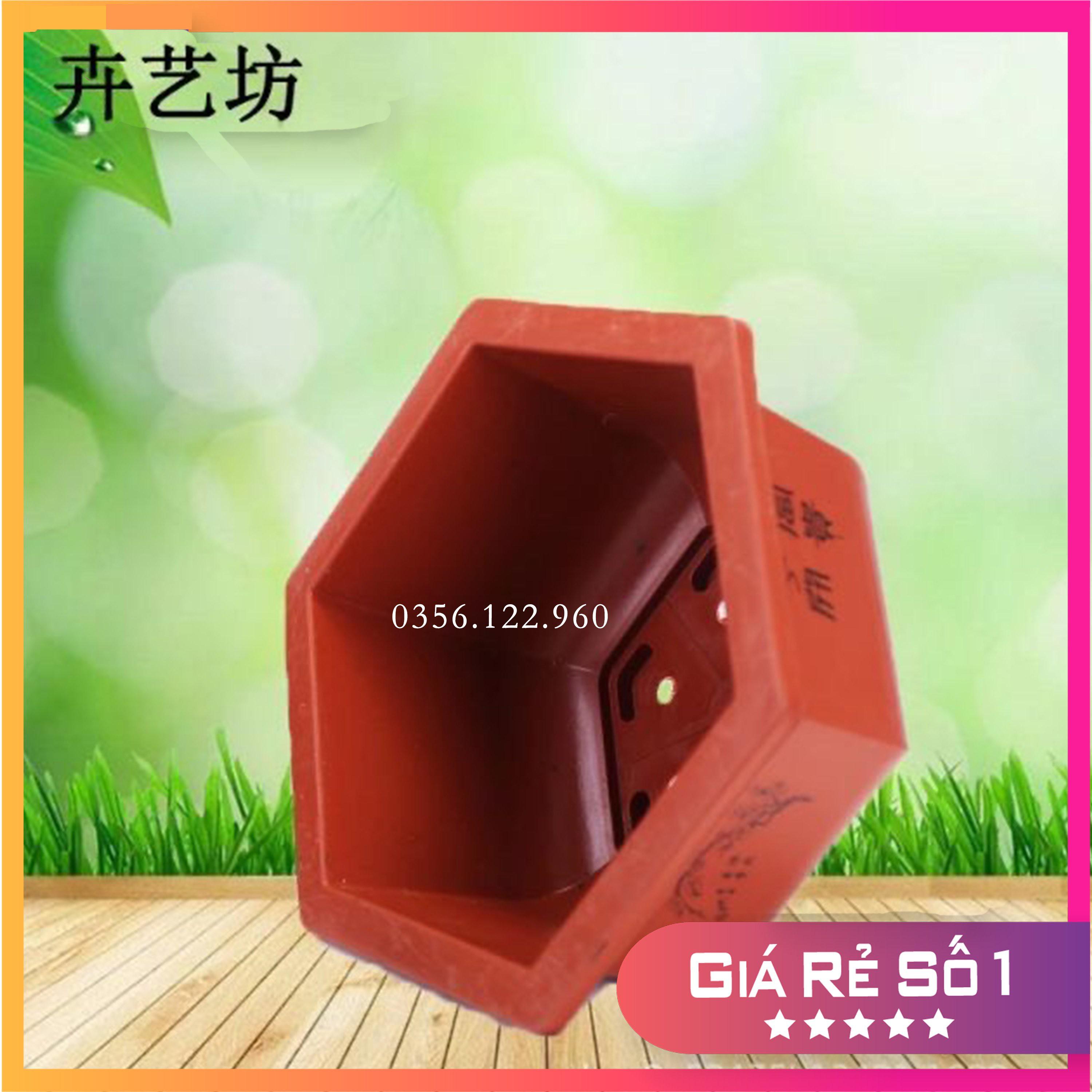 Bộ 10 chậu lục giác trồng cây họa tiết FA320 KT 30x18cm