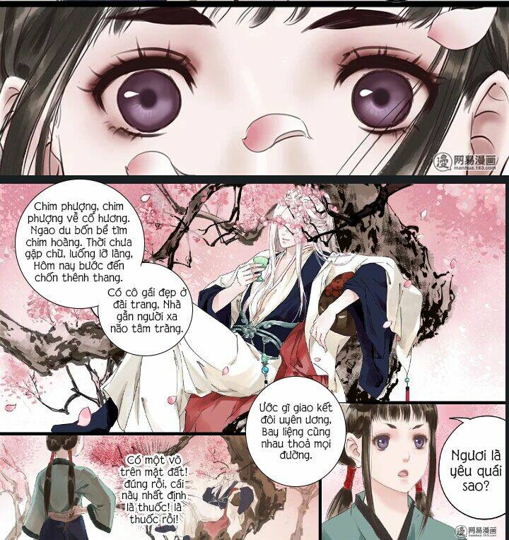 sư phụ là đào hoa yêu chapter 1 6