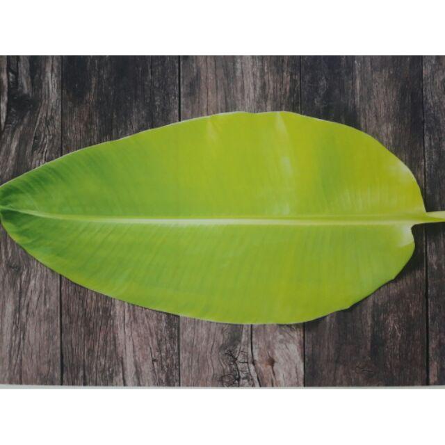 Vải 3D chụp hình size 75cmx50cm